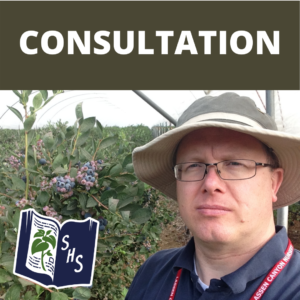 Short Consultation (30 minutes)