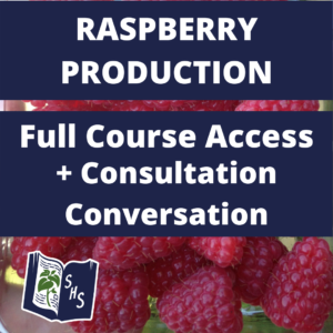 Raspberry Course and Conversation Bundle