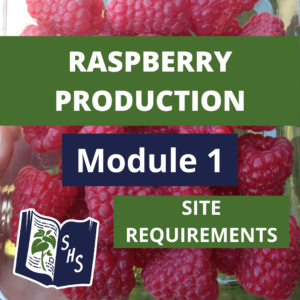 Raspberry Production - Site Requirements