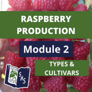 Raspberry Production - Types & Cultivars