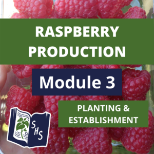 Raspberry Production - Planting & Establishment