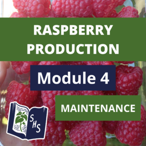 Raspberry Production - Maintenance