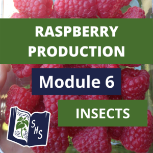 Raspberry Production - Insect Pests