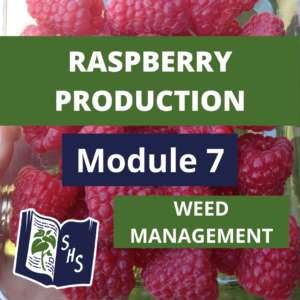 Raspberry Production - Weed Management