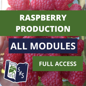 Raspberry Production - Full Course Access