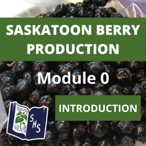 Saskatoon berry Production - Overview