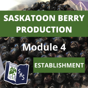 Saskatoon berry Production - Establishment