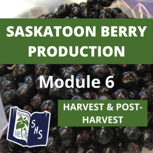 Saskatoon berry Production - Harvest & Post-harvest