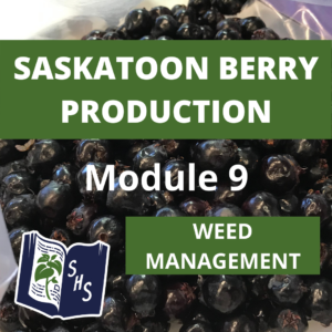 Saskatoon berry Production - Weed Management