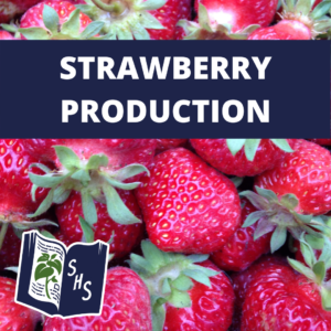 Strawberry Production - Full Course Access