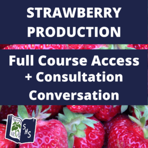 Strawberry Course and Conversation Bundle
