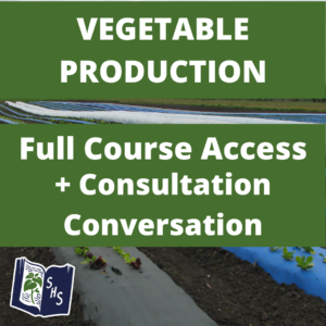 Veg Course and Conversation Bundle