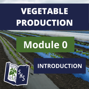 Vegetable Production - Overview