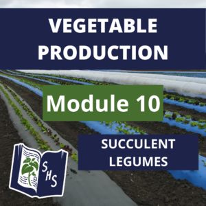 Vegetable Production - Succulent Legumes