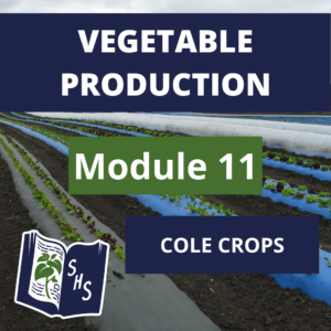 Vegetable Production - Cole Crops
