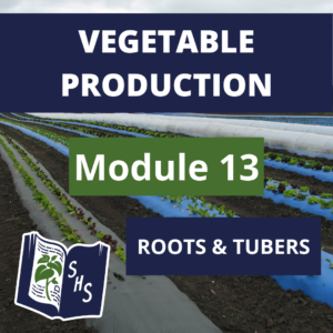 Vegetable Production - Root Vegetables & Tubers