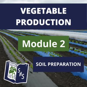 Vegetable Production - Soil Preparation