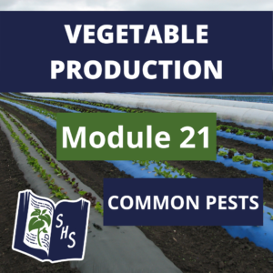 Vegetable Production - Common Pests