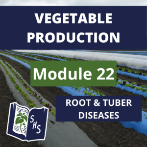 Vegetable Production - Root & Tuber Diseases