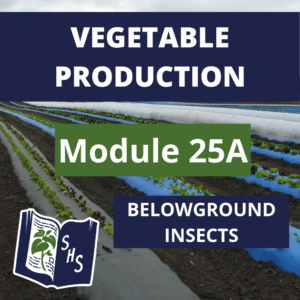 Vegetable Production - Belowground Insects