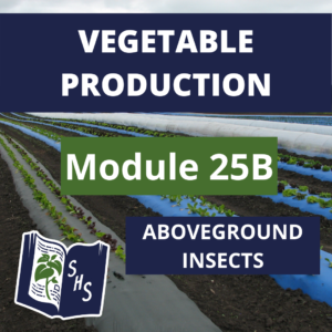 Vegetable Production - Aboveground Insects