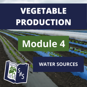 Vegetable Production - Water Sources