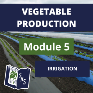 Vegetable Production - Irrigation