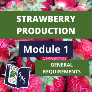 Strawberry Production - General Requirements