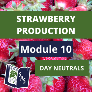 Strawberry Production - Day-neutrals