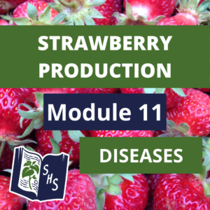 Strawberry Production - Diseases