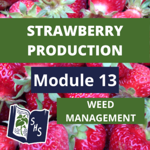 Strawberry Production - Weed Management