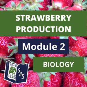 Strawberry Production - Biology