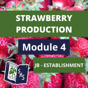 Strawberry Production - June-bearing - Establishment