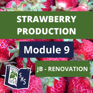 Strawberry Production - June-bearing - Renovation