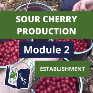 Dwarf Sour Cherry Production - Establishment