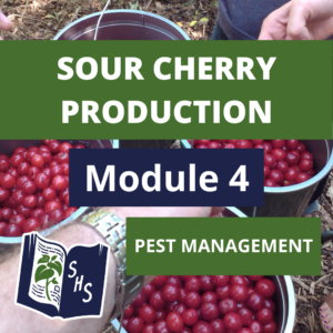 Dwarf Sour Cherry Production - Pest Management