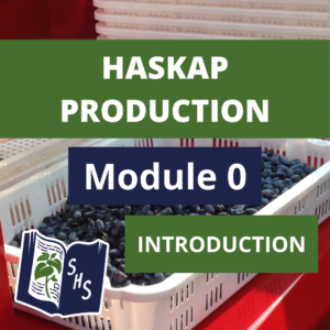 Haskap Production - Overview